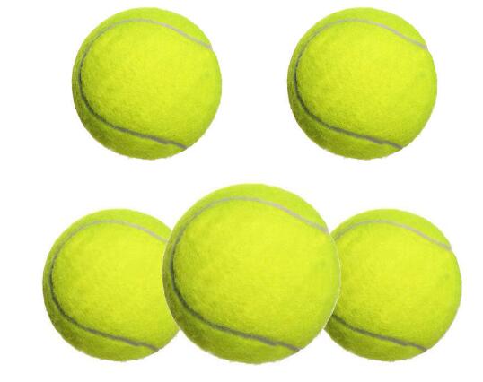 MatchBuddy™ Pickleball Trainer for Beginners (One Unit)